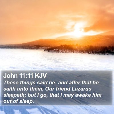John 11:11 KJV Bible Verse Image