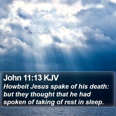 John 11:13 KJV Bible Verse Image