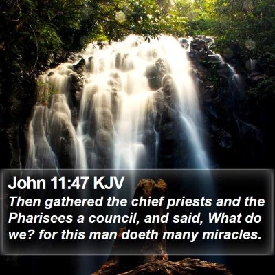 John 11:47 KJV Bible Verse Image