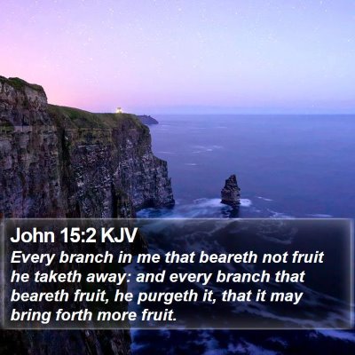 John 15:2 KJV Bible Verse Image