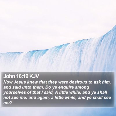 John 16:19 KJV Bible Verse Image