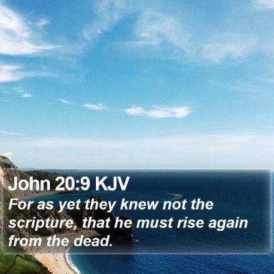 John 20:9 KJV Bible Verse Image