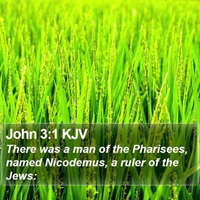 John 3:1 KJV Bible Verse Image