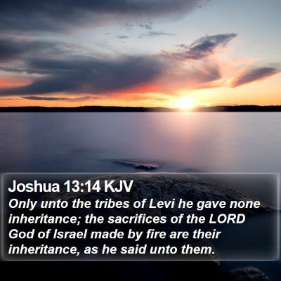 Joshua 13:14 KJV Bible Verse Image
