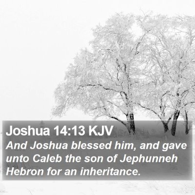 Joshua 14:13 KJV Bible Verse Image