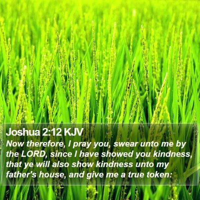 Joshua 2:12 KJV Bible Verse Image