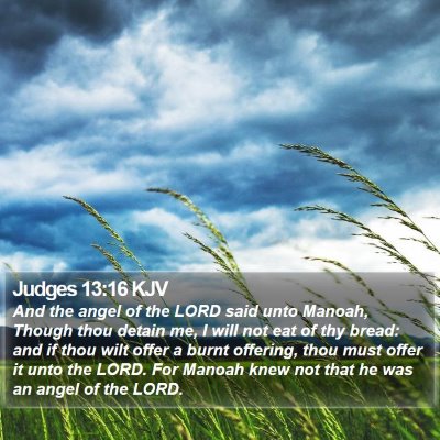Judges 13:16 KJV Bible Verse Image
