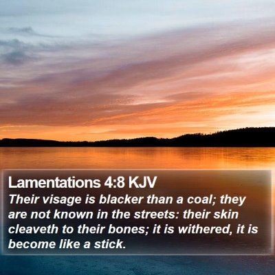 Lamentations 4:8 KJV Bible Verse Image