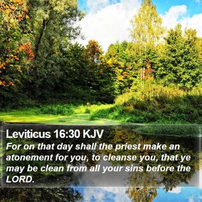 Leviticus 16:30 KJV Bible Verse Image