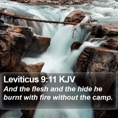 Leviticus 9:11 KJV Bible Verse Image