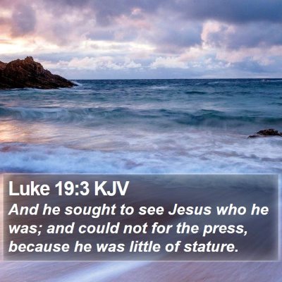 Luke 19:3 KJV Bible Verse Image