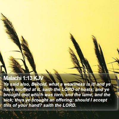 Malachi 1:13 KJV Bible Verse Image