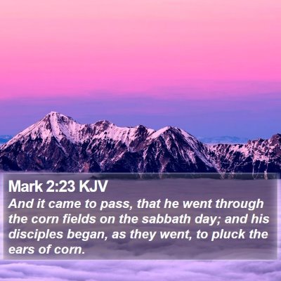 Mark 2:23 KJV Bible Verse Image