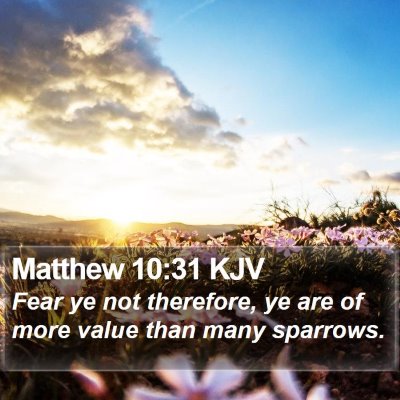 Matthew 10:31 KJV Bible Verse Image