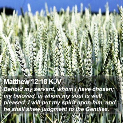 Matthew 12:18 KJV Bible Verse Image