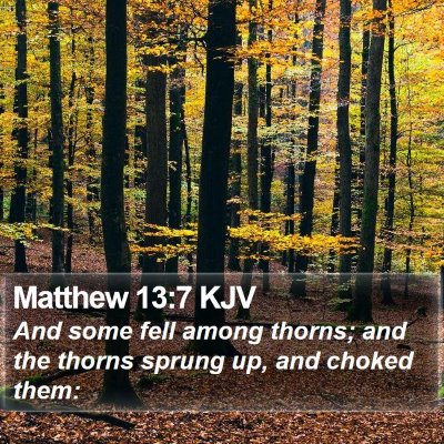 Matthew 13:7 KJV Bible Verse Image