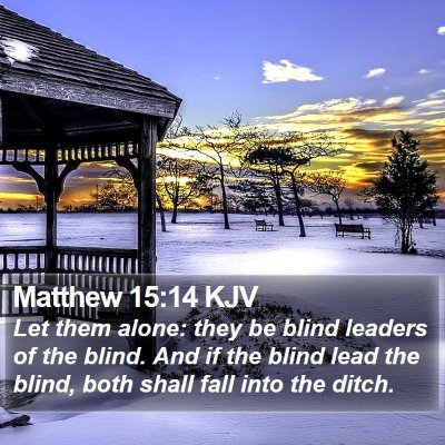 Matthew 15:14 KJV Bible Verse Image