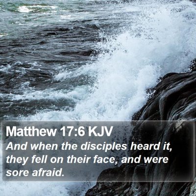 Matthew 17:6 KJV Bible Verse Image
