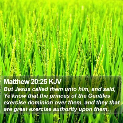 Matthew 20:25 KJV Bible Verse Image