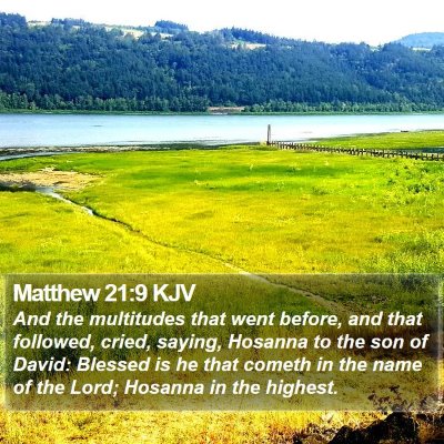 Matthew 21:9 KJV Bible Verse Image