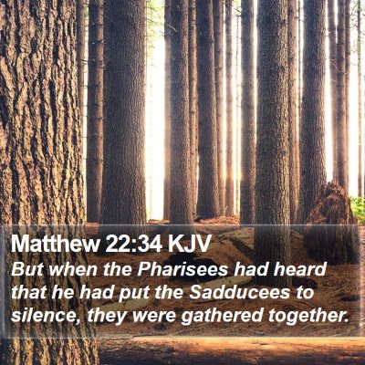 Matthew 22:34 KJV Bible Verse Image