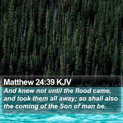 Matthew 24:39 KJV Bible Verse Image