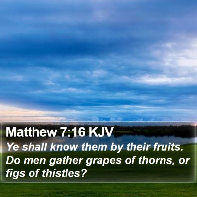 Matthew 7:16 KJV Bible Verse Image