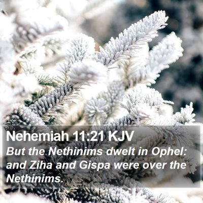 Nehemiah 11:21 KJV Bible Verse Image