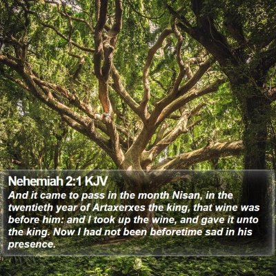 Nehemiah 2:1 KJV Bible Verse Image