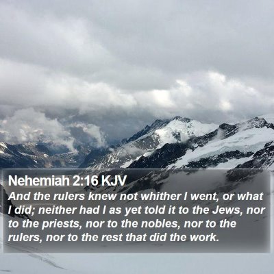 Nehemiah 2:16 KJV Bible Verse Image
