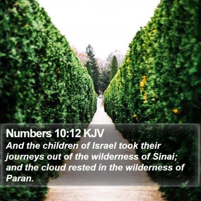 Numbers 10:12 KJV Bible Verse Image