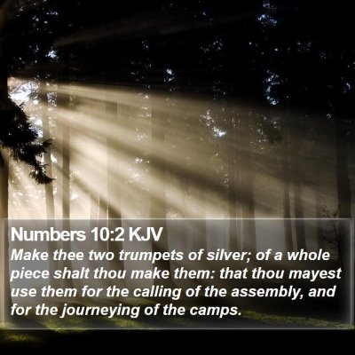 Numbers 10:2 KJV Bible Verse Image