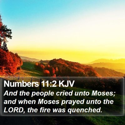 Numbers 11:2 KJV Bible Verse Image