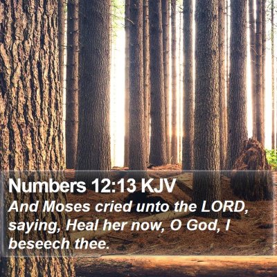 Numbers 12:13 KJV Bible Verse Image