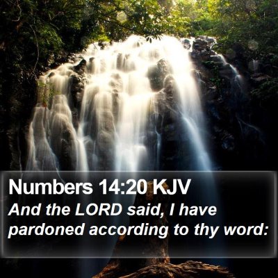 Numbers 14:20 KJV Bible Verse Image
