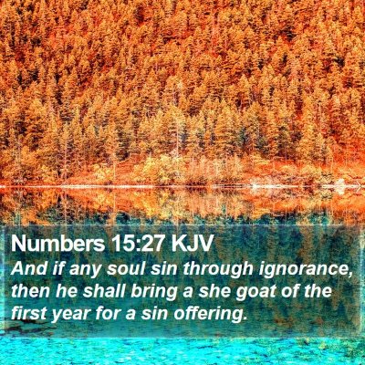 Numbers 15:27 KJV Bible Verse Image