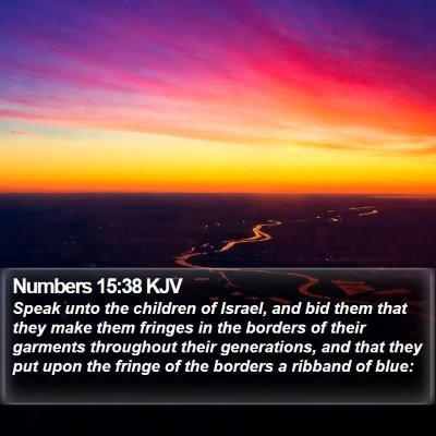 Numbers 15:38 KJV Bible Verse Image