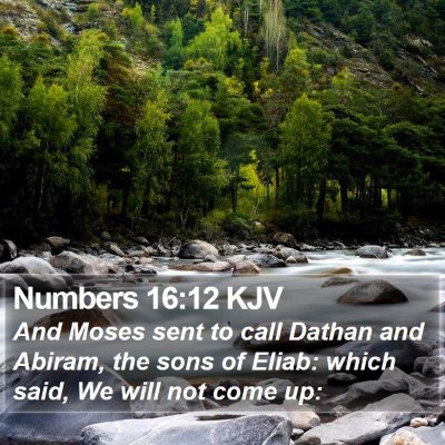 Numbers 16:12 KJV Bible Verse Image