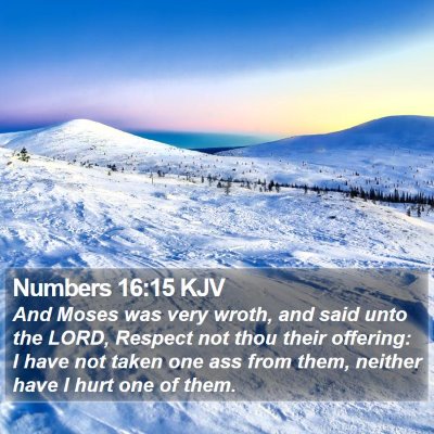 Numbers 16:15 KJV Bible Verse Image