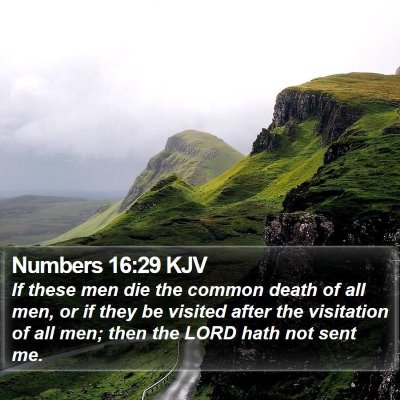 Numbers 16:29 KJV Bible Verse Image