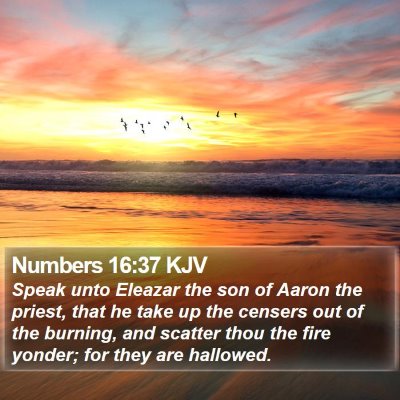 Numbers 16:37 KJV Bible Verse Image