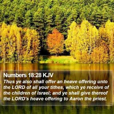 Numbers 18:28 KJV Bible Verse Image