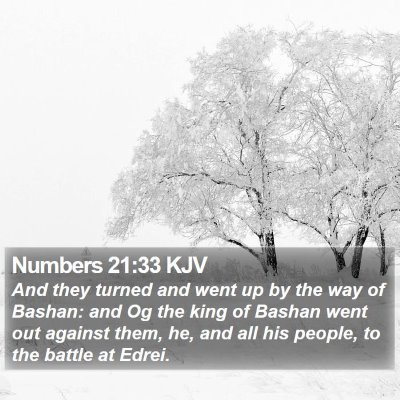 Numbers 21:33 KJV Bible Verse Image