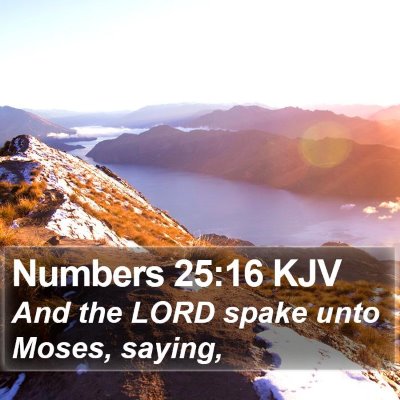 Numbers 25:16 KJV Bible Verse Image
