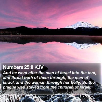 Numbers 25:8 KJV Bible Verse Image