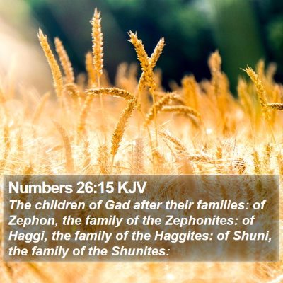 Numbers 26:15 KJV Bible Verse Image