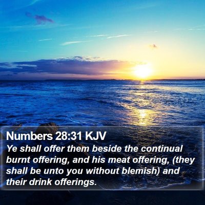 Numbers 28:31 KJV Bible Verse Image