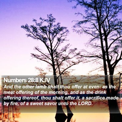 Numbers 28:8 KJV Bible Verse Image