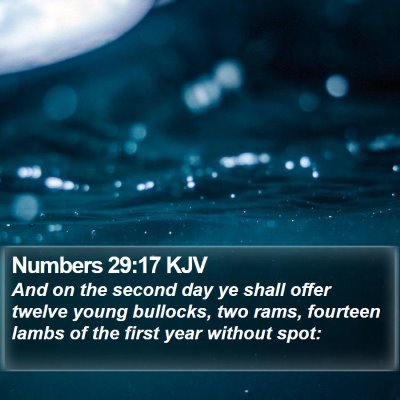 Numbers 29:17 KJV Bible Verse Image