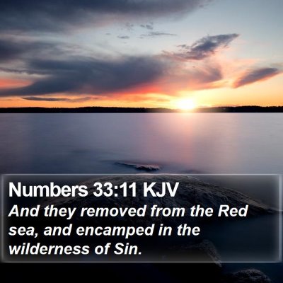 Numbers 33:11 KJV Bible Verse Image